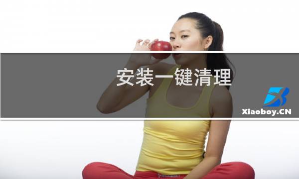 安装一键清理 - 一键清理管家极速版下载