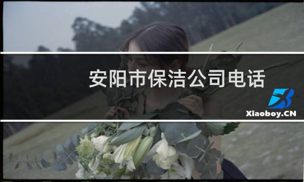 安阳市保洁公司电话 - 安阳保洁公司价格