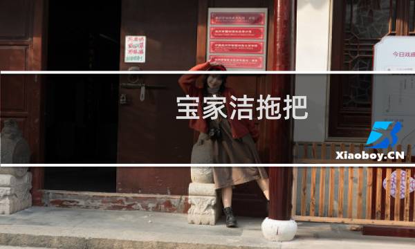 宝家洁拖把 - 宝家洁平板拖把多少钱
