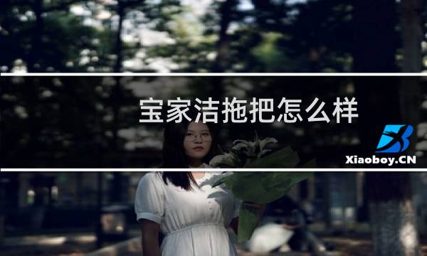 宝家洁拖把怎么样 - 宝家洁和妙洁哪个好