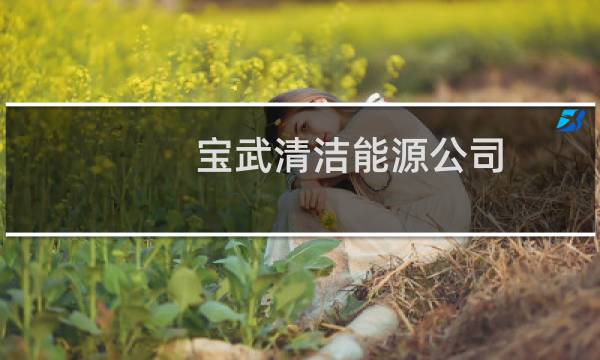 宝武清洁能源公司 - 宝武清能领导成员