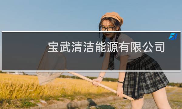 宝武清洁能源有限公司 - 宝武清洁能源公司怎么样
