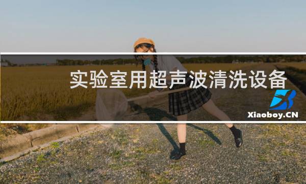 实验室用超声波清洗设备 - 实验室超声处理的仪器叫什么