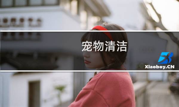 宠物清洁 - 宠物怎么干洗