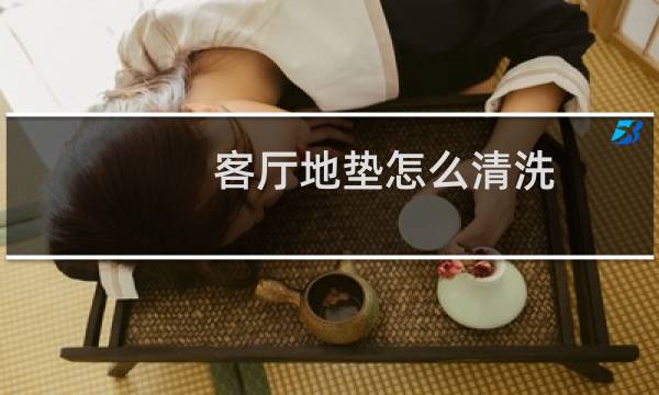客厅地垫怎么清洗 - 千万不要在家里铺地毯