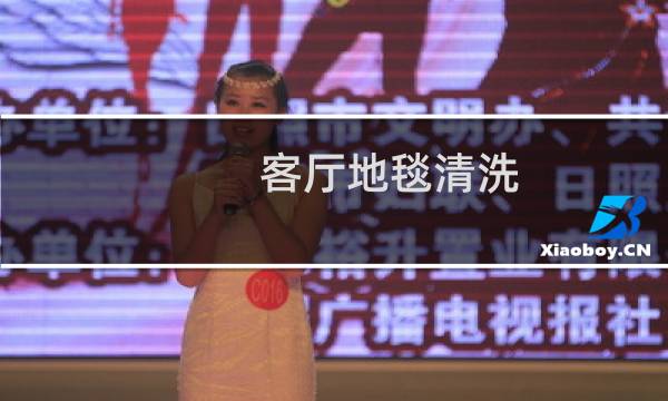 客厅地毯清洗 - 自己可以清洗地毯吗