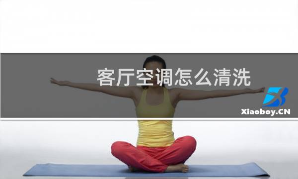 客厅空调怎么清洗 - 客厅的立式空调怎么清洗