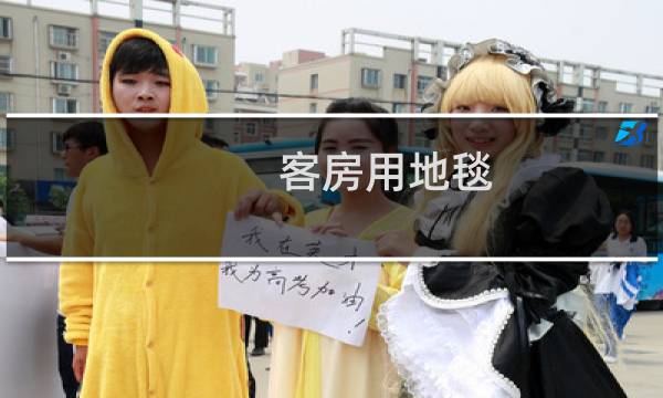 客房用地毯 - 酒店用地毯价格是多少