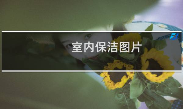 室内保洁图片 - 有关家庭保洁的图片