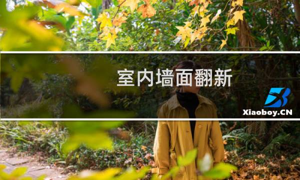 室内墙面翻新 - 正在住的房子墙面翻新