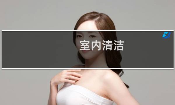室内清洁 - 室内清洁和室外清洁是什么意思