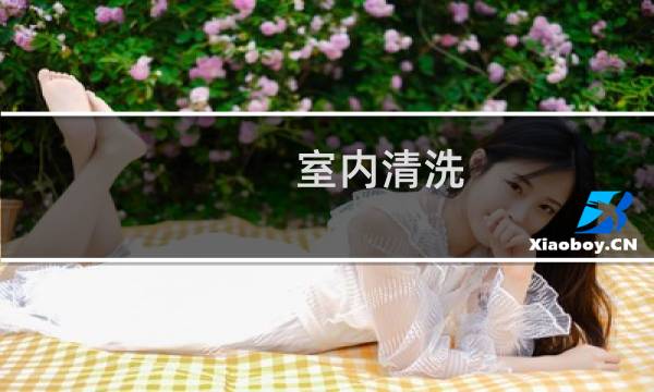 室内清洗 - 汽车内饰清洗价格