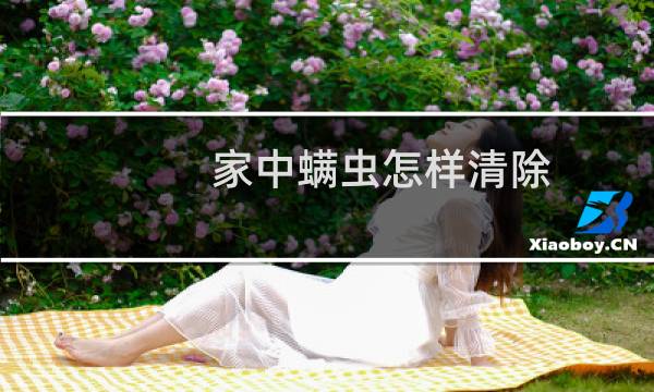 家中螨虫怎样清除 - 室内除尘螨的最佳方法