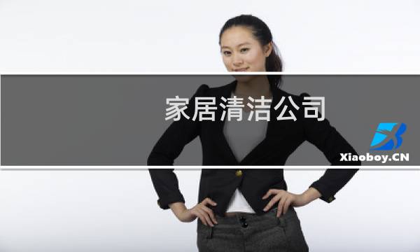 家居清洁公司 - 家庭服务家居清理的公司