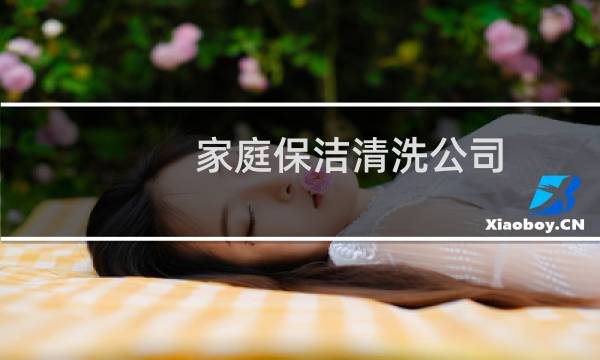 家庭保洁清洗公司 -