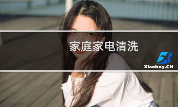 家庭家电清洗 -