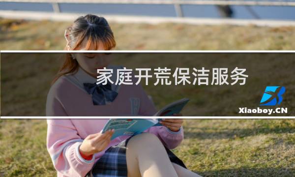 家庭开荒保洁服务 - 开荒保洁的项目