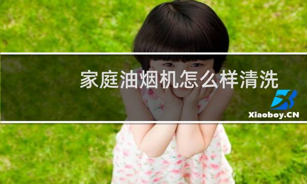 家庭油烟机怎么样清洗 - 家用抽油烟机清洗视频