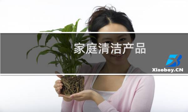 家庭清洁产品 - 家庭清洁用品有哪些