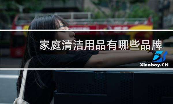 家庭清洁用品有哪些品牌 - 家庭清洁产品的品牌有哪些