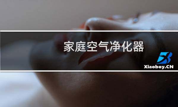 家庭空气净化器 - 东京东松下净化器