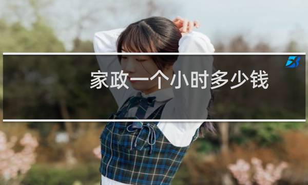 家政一个小时多少钱 - 家政140平米打扫家多少钱