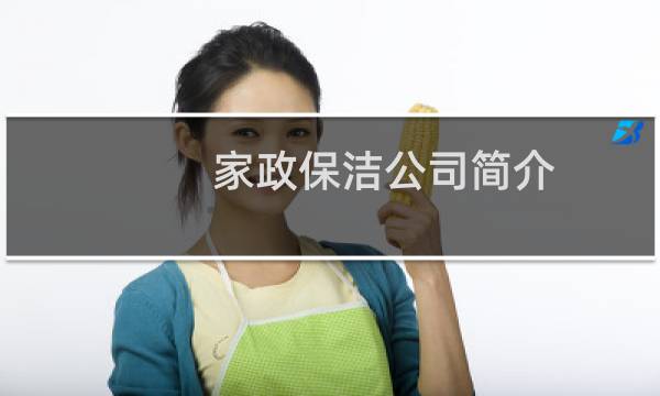 家政保洁公司简介 - 家政服务公司简介怎么写