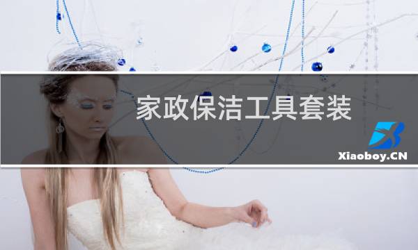 家政保洁工具套装 - 家政保洁所用工具
