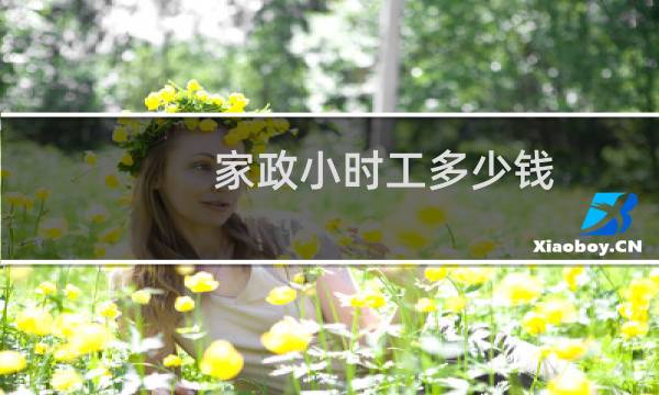 家政小时工多少钱 - 钟点工做饭阿姨多少钱一小时