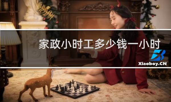 家政小时工多少钱一小时 - 家政烧饭小时工一般多少钱