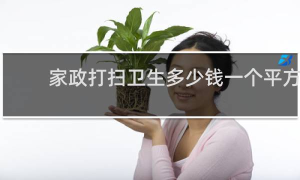 家政打扫卫生多少钱一个平方 - 100平方房子打扫卫生多少钱