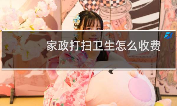 家政打扫卫生怎么收费 - 家政公司收拾卫生怎么收费