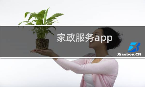 家政服务app - 十大家政服务app