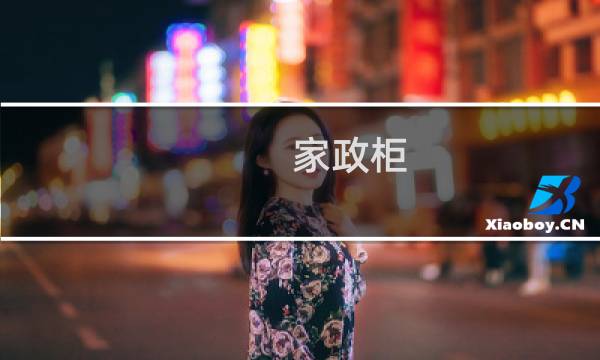 家政柜 - 家政柜是什么意思