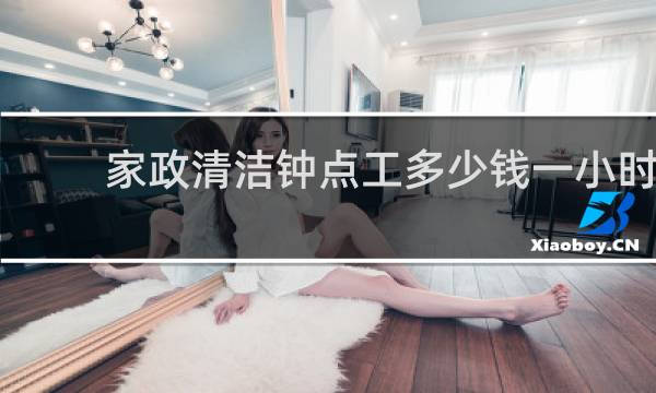 家政清洁钟点工多少钱一小时 - 保洁钟点工价格