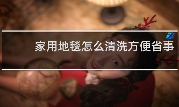 家用地毯怎么清洗方便省事 - 地毯的清洁保养有哪些方式