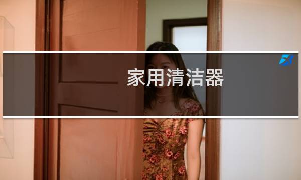 家用清洁器 - 家用清洁器需要的桶