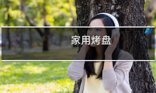 家用烤盘 - 家用烤箱里面的烤盘哪里有卖