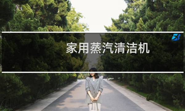 家用蒸汽清洁机 - 家用蒸汽清洁机什么品牌好