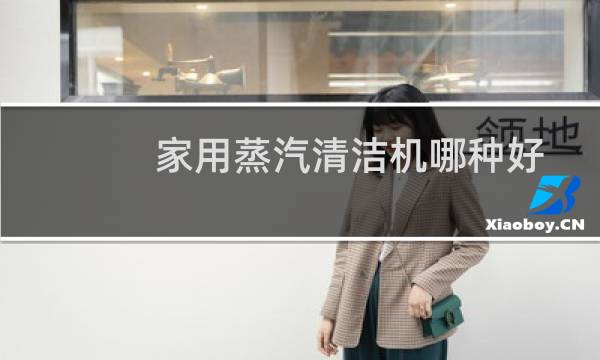 家用蒸汽清洁机哪种好 - 家用高温清洗机哪个牌子好