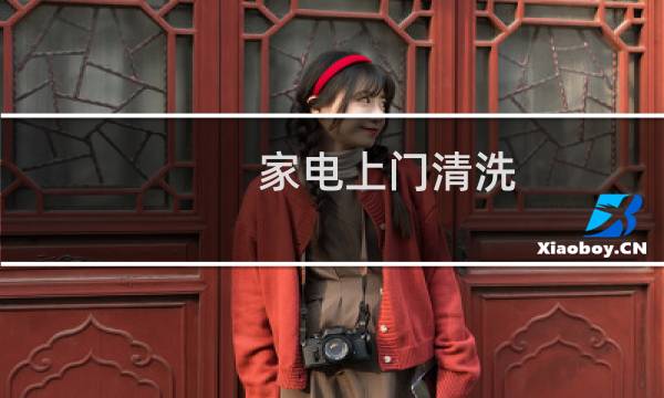 家电上门清洗 - 家电清洗上门服务