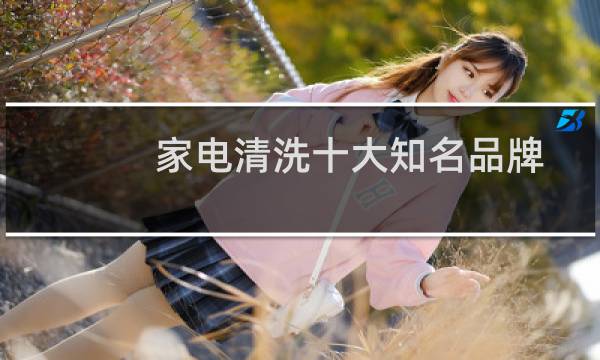 家电清洗十大知名品牌 - 家电清洗哪个品牌信誉好