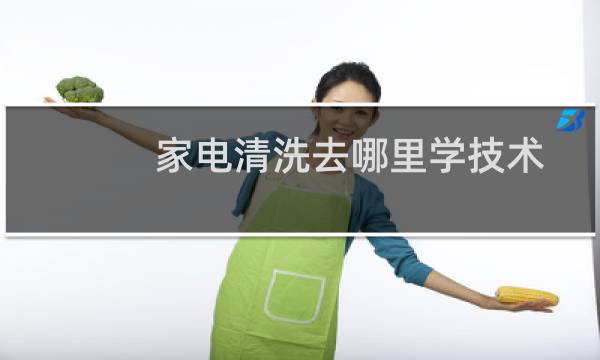 家电清洗去哪里学技术 - 什么地方可以学家电清洗