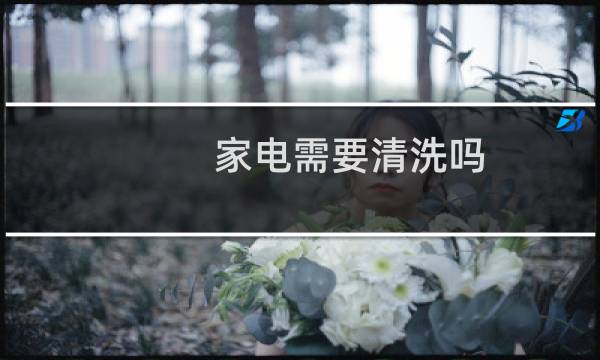 家电需要清洗吗 - 家电清洗的好处与危害500字