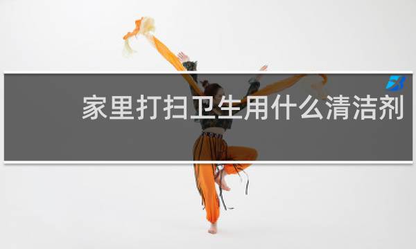 家里打扫卫生用什么清洁剂 - 打扫家里卫生需要清洁剂
