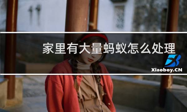 家里有大量蚂蚁怎么处理 - 家里蚂蚁多怎么处理