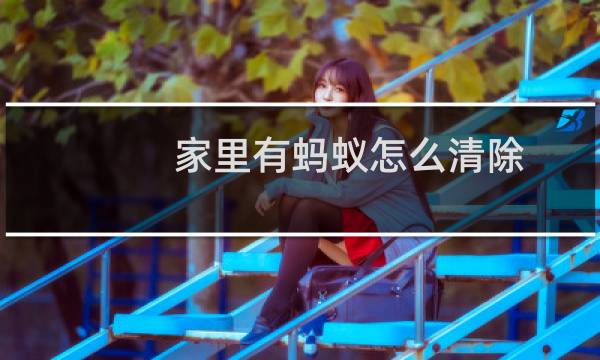 家里有蚂蚁怎么清除 - 清除室内蚂蚁最有效的方法