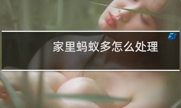 家里蚂蚁多怎么处理 - 家里有蚂蚁怎么处理