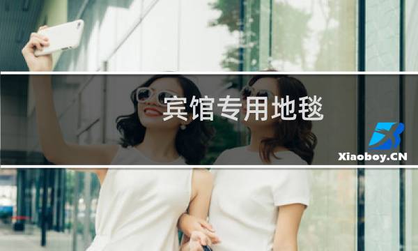 宾馆专用地毯 - 酒店房间地毯