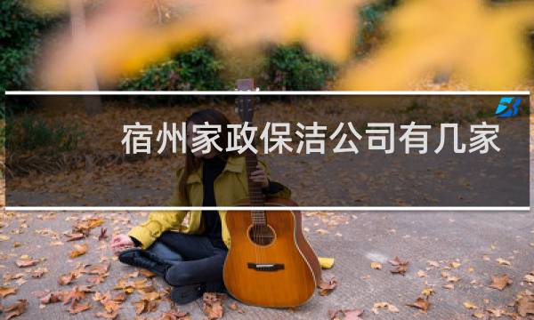 宿州家政保洁公司有几家 - 宿州家政保洁收费